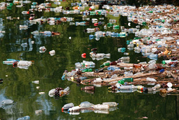 Des déchets de plastique de toutes sortes flottent à la surface de l'eau.