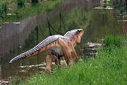 A dinosaur moves away from the camera as it walks along a stream. 