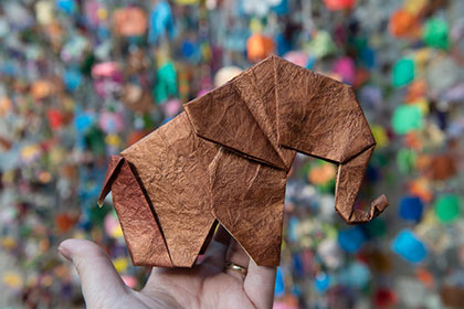 78,000 Origami Elephants Invade the Bronx Zoo